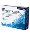 ENTEROBACILLI 10 BUSTINE X 2G