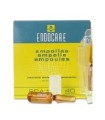 ENDOCARE B 7 FIALE 1 ML