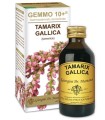 GEMMO 10+ TAMERICE 100 ML LIQUIDO ANALCOLICO