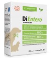 DIENTERO 20 BUSTINE 10 ML