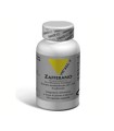 VITAL PLUS ZAFFERANO CAPSULE