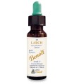 FIORI DI BACH BENOIT LARCH 10 ML