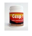 CESP 1 POLVERE 60 G CON MISURINO