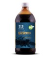 SALUGEA SUCCO SAMBUCO BIO 500 ML