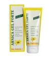 THEISS ARNICA GEL FORTE 100 ML