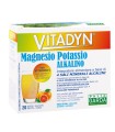 VITADYN MAGNESIO POTASSIO ALKALINO 20 BUSTINE