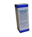 GONALGIN SOLUZIONE IDROALCOLICA 50 ML