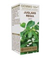 GEMMO 10+ NOCE 100 ML LIQUIDO ANALCOLICO