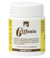 GRIFFONIA 50 CAPSULE