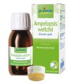 AMPELOPSIS WEITCHII MACERATO GLICERICO 60 ML INT