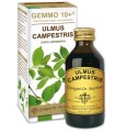 GEMMO 10+ OLMO CAMPESTRE 100 ML LIQUIDO ANALCOLICO