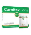 CARNITEX FORTE 20 BUSTINE 100 G