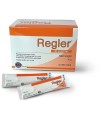 REGLER 30 BUSTINE