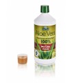 ALOE VERA SUCCO MIRTILLO ROSSO 1 L