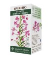 EPILOBIO ESTRATTO INTEGRALE SECCO 90 G 180 PASTIGLIE