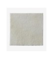 MEDICAZIONE BIATAIN ALGINATE IN ALGINATO E CARBOSSIMETILCELLULOSA 15X15 CM 10 PEZZI