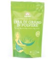 ERBA DI GRANO BIO IN POLVERE PROVENIENZA EUROPEA 125 G