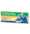 FOSFOVITAL OLIO FEGATO DI MERLUZZO 7 FLACONCINI