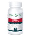 MORINGA 60 CAPSULE