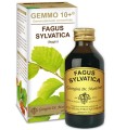 GEMMO 10+ FAGGIO 100 ML LIQUIDO ANALCOLICO