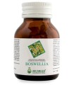 BOSWELLIA 60 CAPSULE