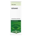 GERANIO OLIO ESSENZIALE 10 ML