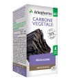 ARKO CAPSULE CARBONE VEGETALE BIO 40 CAPSULE