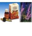 LAVANDA OLIO ESSENZIALE PURO 10 ML