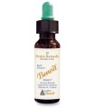 PENTA REMEDY BENOIT 10 ML