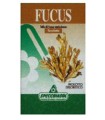 FUCUS ERBE 150TAV