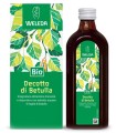 DECOTTO DI BETULLA 250 ML