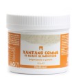 XANTANO GOMMA 200 G