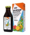 SALUDYNAM 250 ML