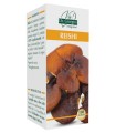 REISHI 180 PASTIGLIE