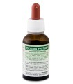 TECOMA PHYTUM GTT 30 ML