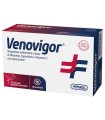 VENOVIGOR 20 STICK PACK GRANULATO OROSOLUBILE