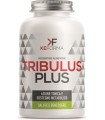 TRIBULUS PLUS 60 CAPSULE