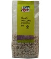 FSC GRANO SARACENO SOFFIATO BIO 100 G