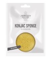 FDE KONJAC SPONGE CURCUMA 1 PEZZO