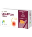 NUTRIDEF GOLA & VOCE MIELE 20 PASTIGLIE