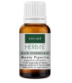 HERBAE MENTA PIPERITA OLIO ESSENZIALE 10 ML