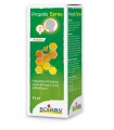 PROPOLIS SPRAY ADULTO 15 ML