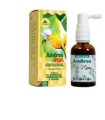 ANDRES SPRAY 30 ML