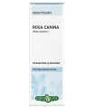 ROSA CANINA BACCHE TINTURA IDROALCOLICA 50 ML EBV