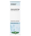 SPACCAPIETRA TINTURA IDROALCOLICA 50 ML EBV