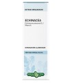 ECHINACEA RADICE SOLUZIONE IDROALCOLICA 50 ML