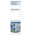 BIANCOSPINO FIORE/FOGLIE ESTRATTO FLUIDO 50 ML