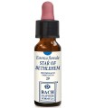 STAR OF BETHLEHEM 10 ML GOCCE