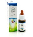 LARCH GUNA GOCCE 10 ML