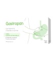 FRIENDLY PHARMA GASTROPAN 15 STICK PACK